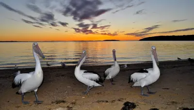 Photo of Longbeach Apartments Coffin Bay