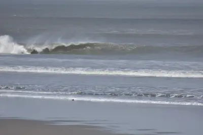 Photo of My Surf Camp Peru