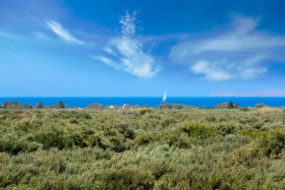 Photo of Olive Coast Suites