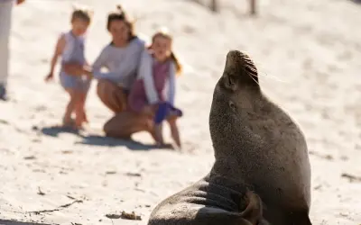 Photo of Ozone Hotel Kangaroo Island
