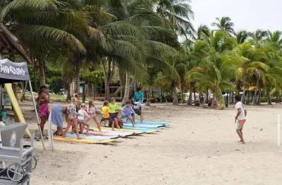 Aloha Surf School & Rental