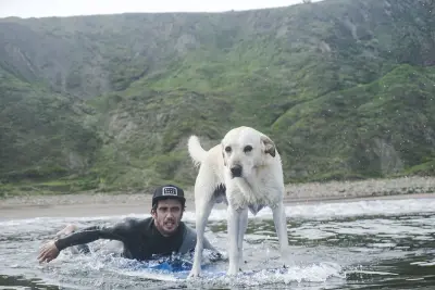 Photo of La Salbaje Surf Eskola