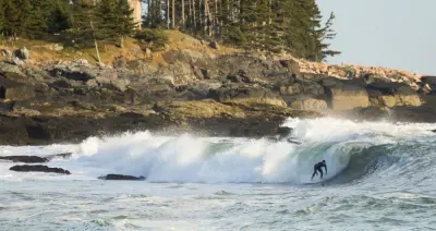 Photo of Levitate Surf Shop