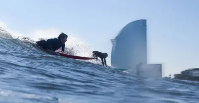 Photo of Manihi Surf School