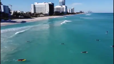 Photo of Miami Surf Academy