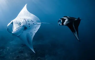 Photo of Ocean Eco Tours