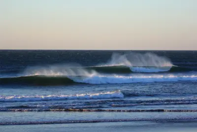 Photo of Sunzal Surf Company