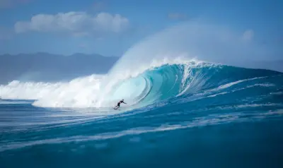 Aloha Surfing School