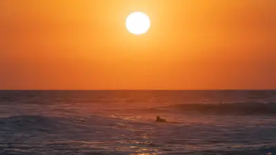 Photo of Nalu Surf Shop