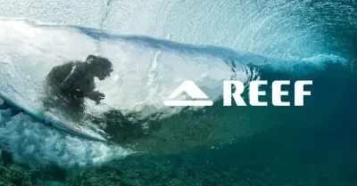 Photo of Reef Surf Shop Anglet