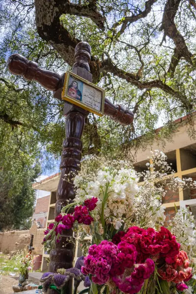 Photo of Bajo Molle