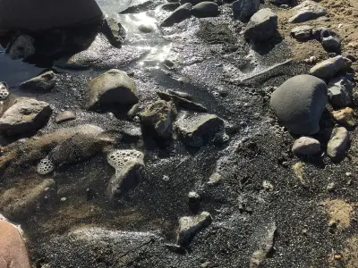 Photo of Black Rock (Porthcawl)