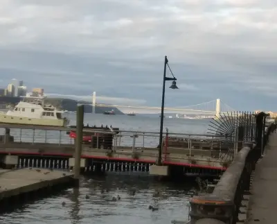 Photo of Boat Basin