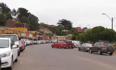 Photo of Bucalemu