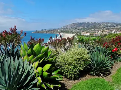 Photo of Cactus Beach