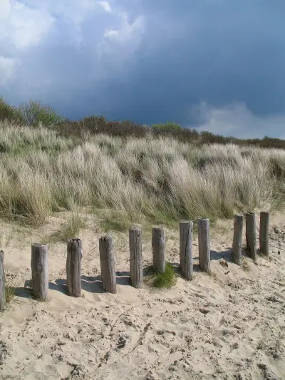 Photo of Cadzand