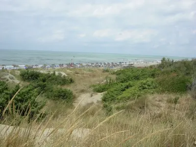 Photo of Calambrone