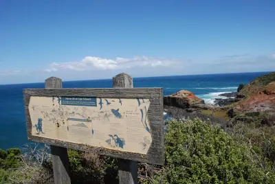 Photo of Cape Schanck