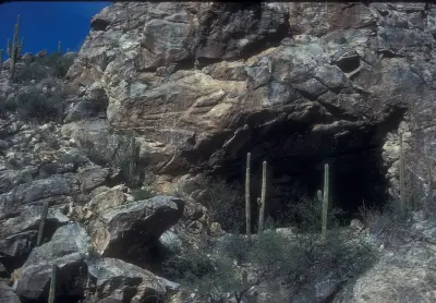Photo of Caves (Cactus)