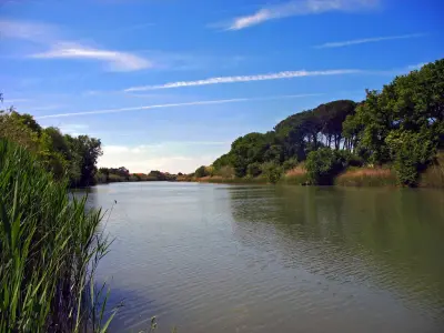 Photo of Cecina