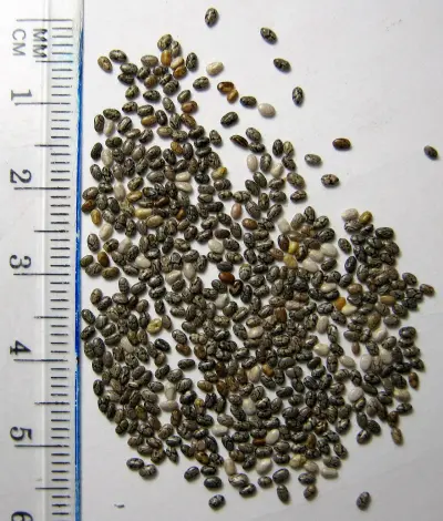 Photo of Chia