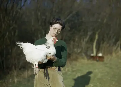 Photo of Chickens (G-Land)