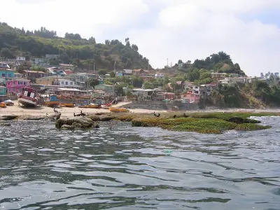 Photo of Cocholgue
