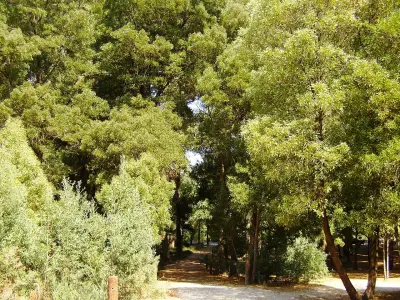 Photo of Cortegaca