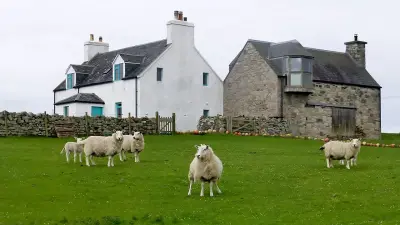 Photo of Crossapol