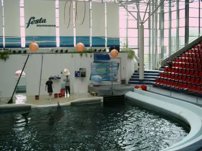 Photo of Dolphinarium
