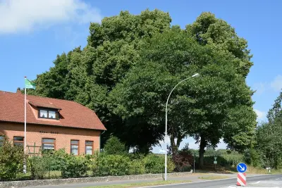 Photo of Drage