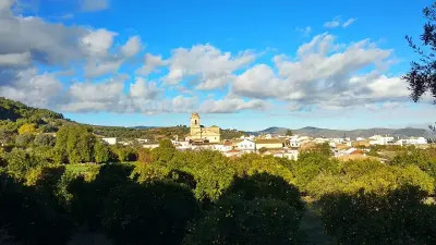 Photo of El Pinar