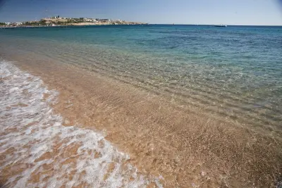 Photo of Elly Bay