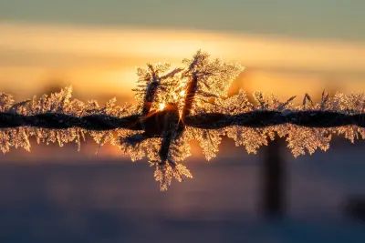 Photo of Fence (PE)