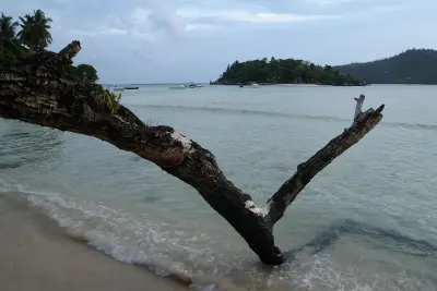 Photo of Grand Anse (Mahé)