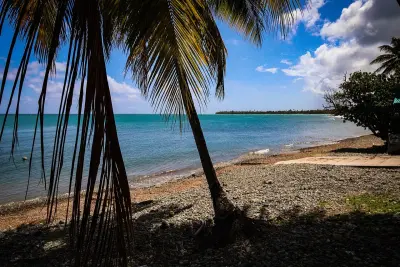 Photo of Inches (Patillas)