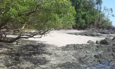 Photo of Isla Cébaco
