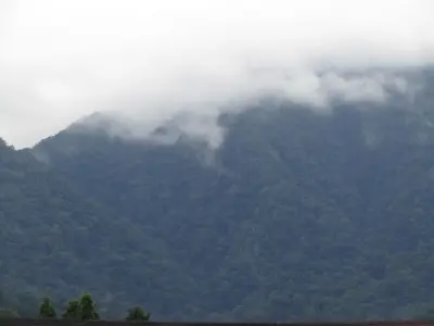 Photo of La Ceiba