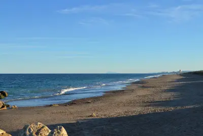 Photo of La Devesa (Saler)
