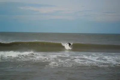 Photo of La Paloma La Aguada