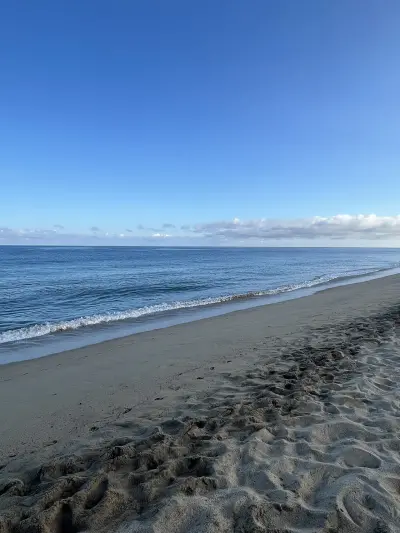 Photo of La Tortuga