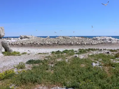 Photo of Lamberts Bay