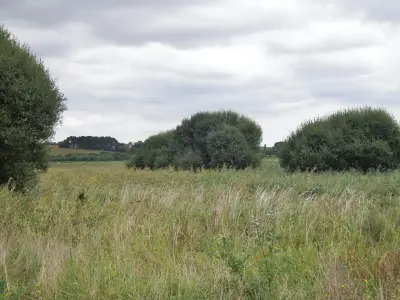 Photo of Le Loc'h