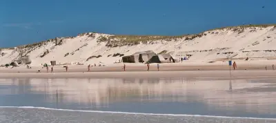 Photo of Le Pin Sec