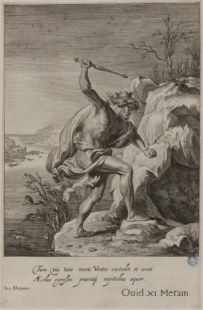Photo of Les Alcyons