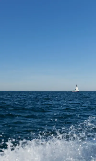 Photo of Les Cavaliers Reef