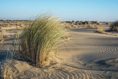 Photo of L'Espiguette