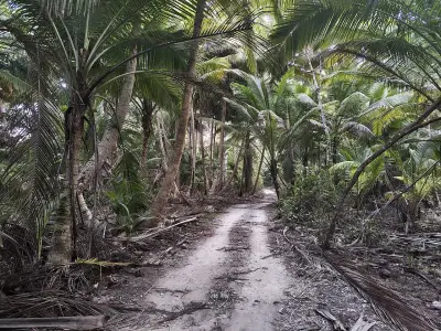 Photo of Little Andaman