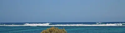 Photo of Long Reef