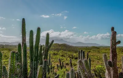 Photo of Macanao